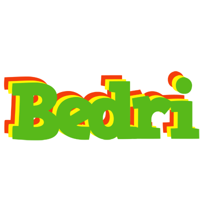 Bedri crocodile logo
