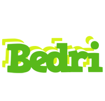 Bedri picnic logo