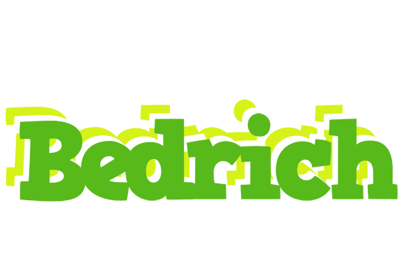 Bedrich picnic logo