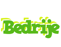 Bedrije picnic logo