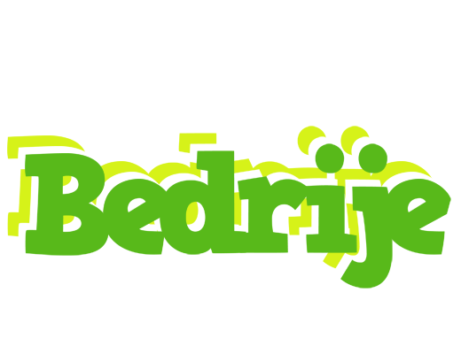 Bedrije picnic logo