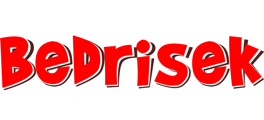 Bedrisek basket logo