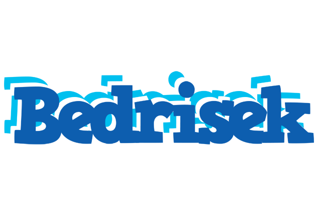 Bedrisek business logo