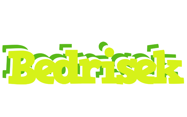 Bedrisek citrus logo