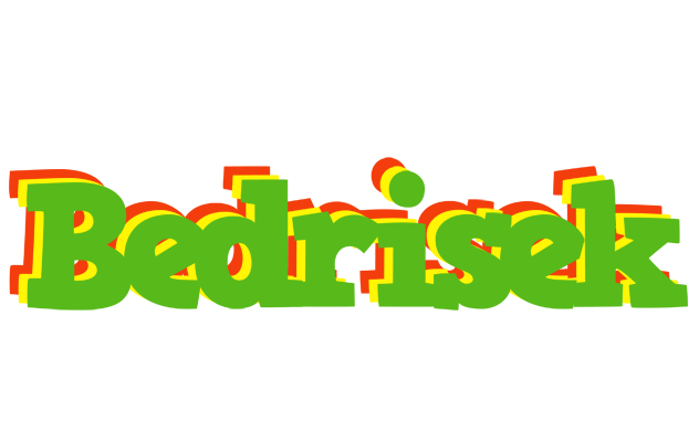 Bedrisek crocodile logo