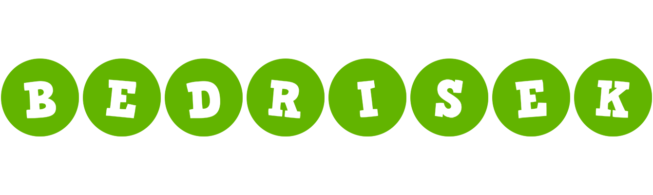 Bedrisek games logo
