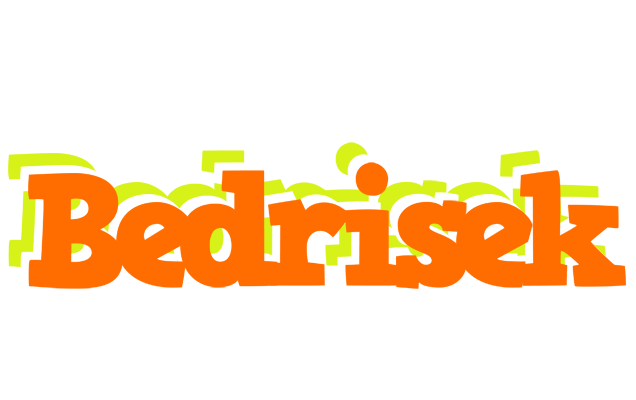 Bedrisek healthy logo