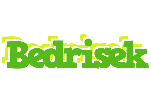 Bedrisek picnic logo