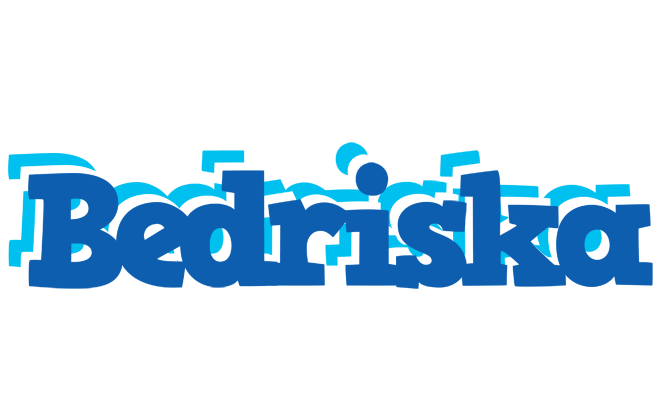 Bedriska business logo