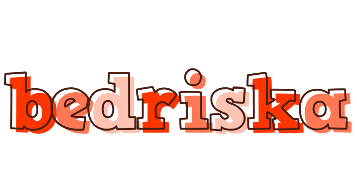 Bedriska paint logo