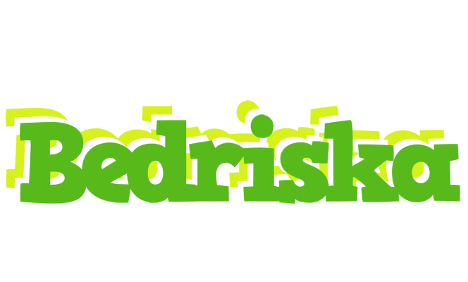 Bedriska picnic logo