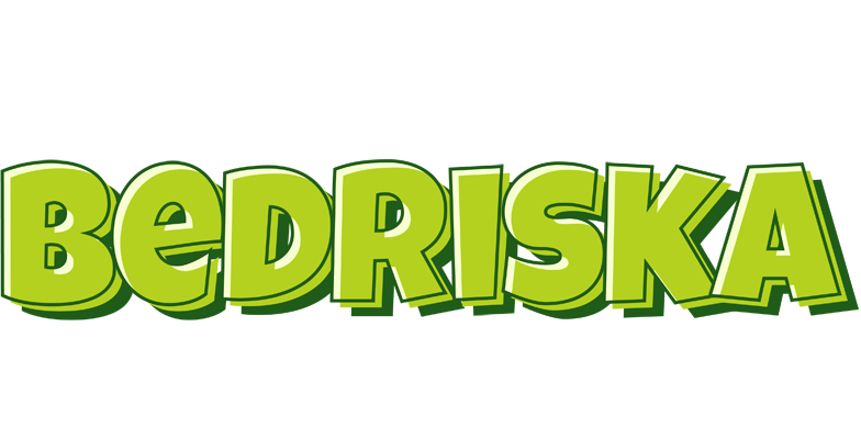 Bedriska summer logo