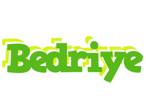 Bedriye picnic logo