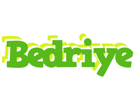 Bedriye picnic logo