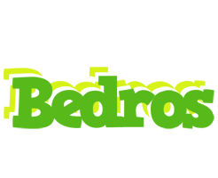 Bedros picnic logo