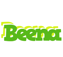 Beena picnic logo