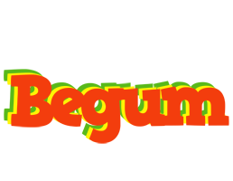 Begum bbq logo