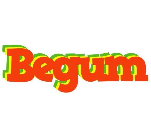 Begum bbq logo