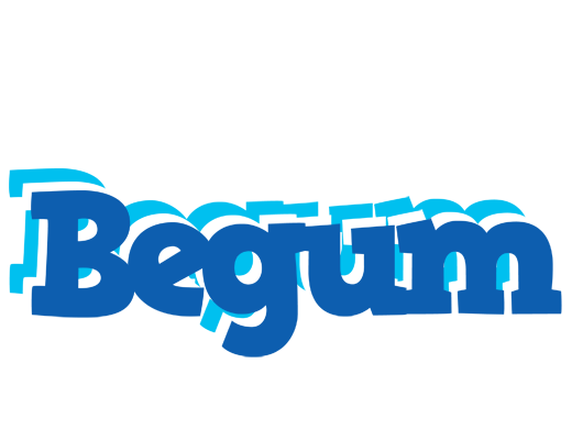 Begum business logo