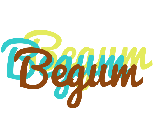 Begum cupcake logo