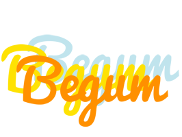 Begum energy logo