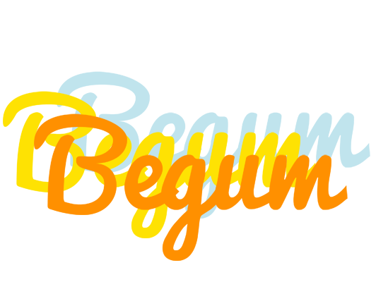 Begum energy logo