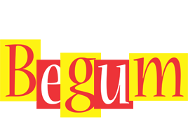 Begum errors logo