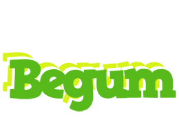 Begum picnic logo
