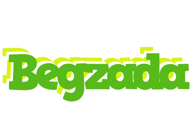 Begzada picnic logo