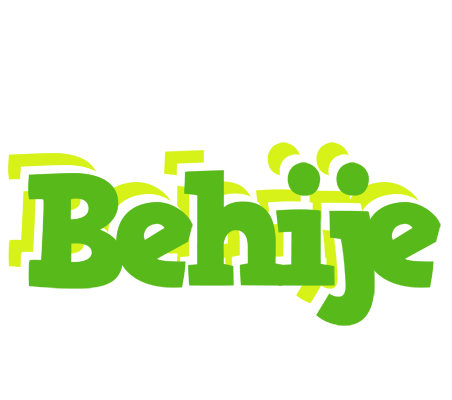 Behije picnic logo