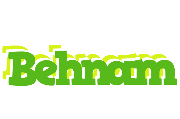 Behnam picnic logo