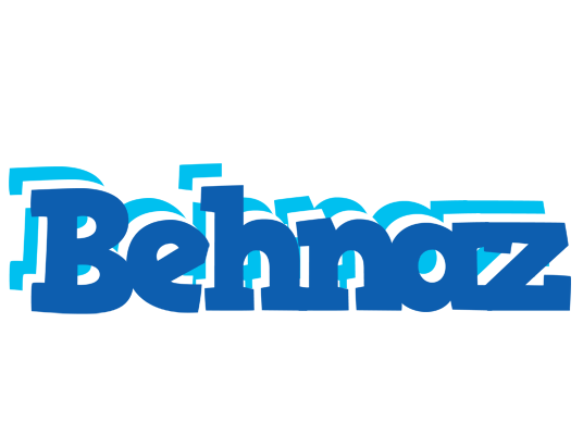 Behnaz business logo