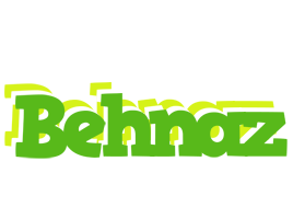 Behnaz picnic logo