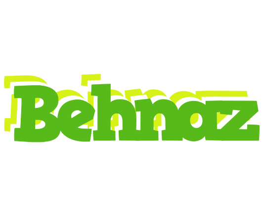 Behnaz picnic logo