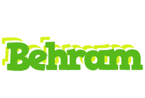 Behram picnic logo