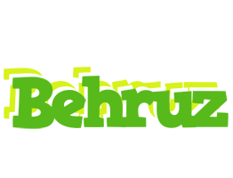 Behruz picnic logo