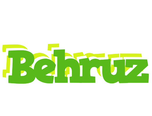 Behruz picnic logo