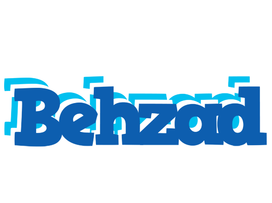 Behzad business logo