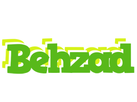 Behzad picnic logo