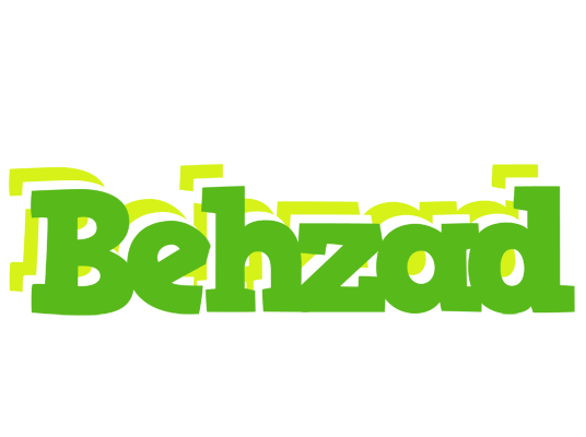 Behzad picnic logo