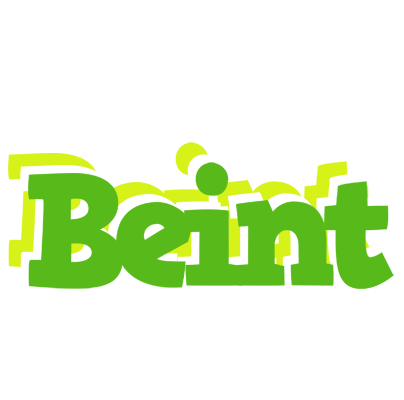 Beint picnic logo