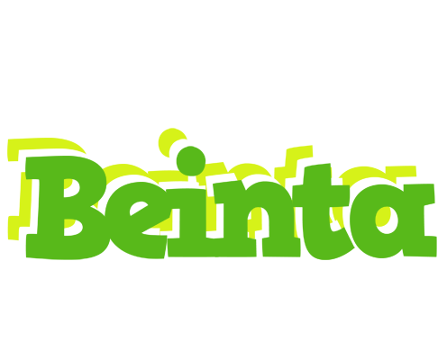 Beinta picnic logo