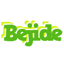 Bejide picnic logo