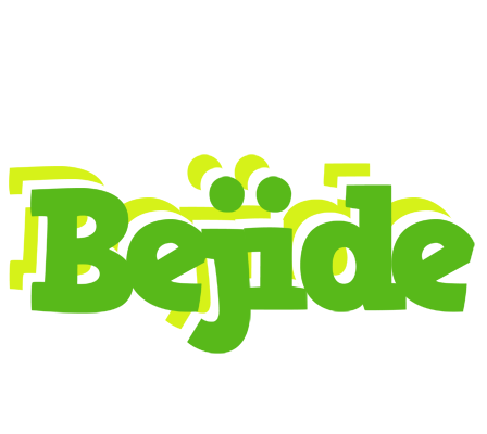 Bejide picnic logo