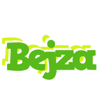 Bejza picnic logo