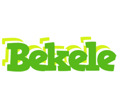 Bekele picnic logo