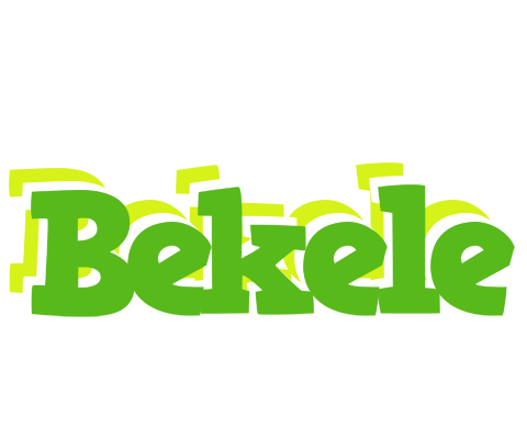 Bekele picnic logo