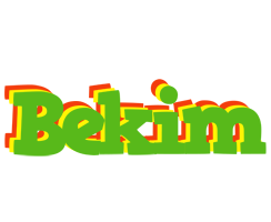 Bekim crocodile logo