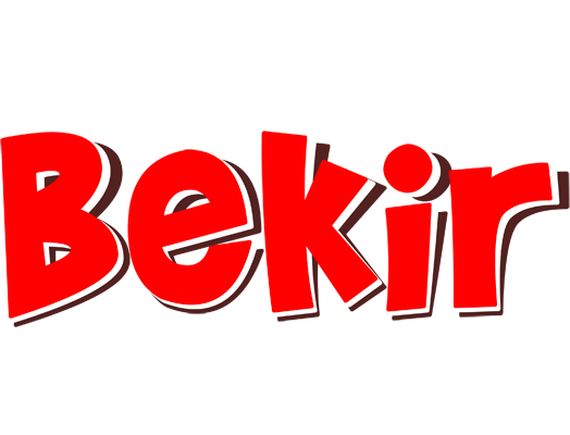 Bekir basket logo