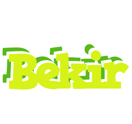 Bekir citrus logo